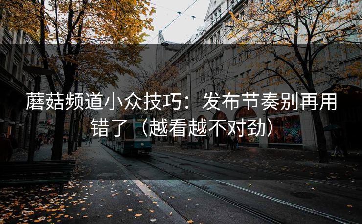 蘑菇频道小众技巧：发布节奏别再用错了（越看越不对劲）